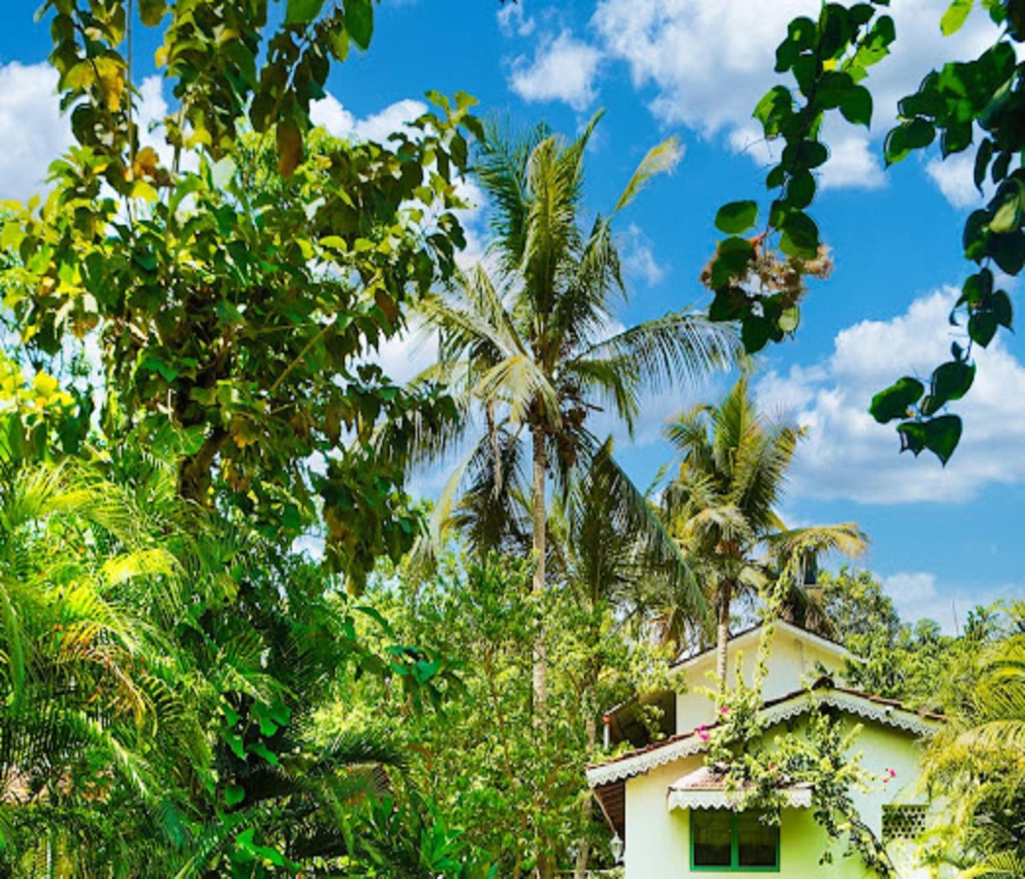 Lar Amorosa Boutique Hotel - Goa Calangute Luaran gambar